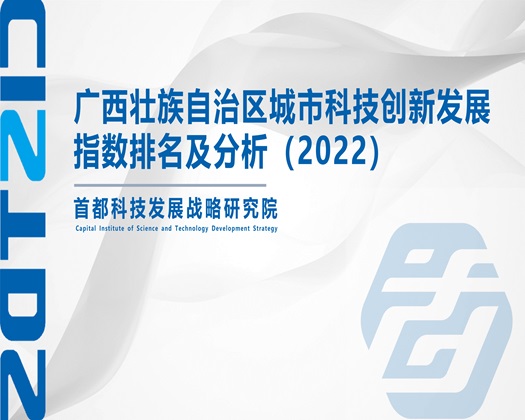 爱爱视频网址【成果发布】广西壮族自治区城市科技创新发展指数排名及分析（2022）